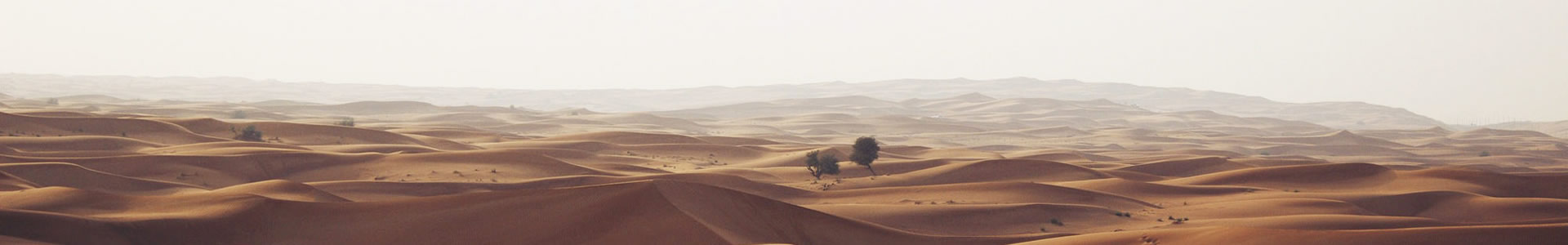 ɽɹó޹˾